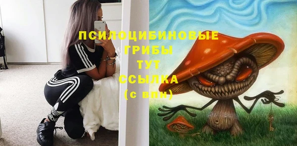 прущие крисы Вязники