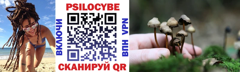 Галлюциногенные грибы прущие грибы MEGA зеркало Нальчик